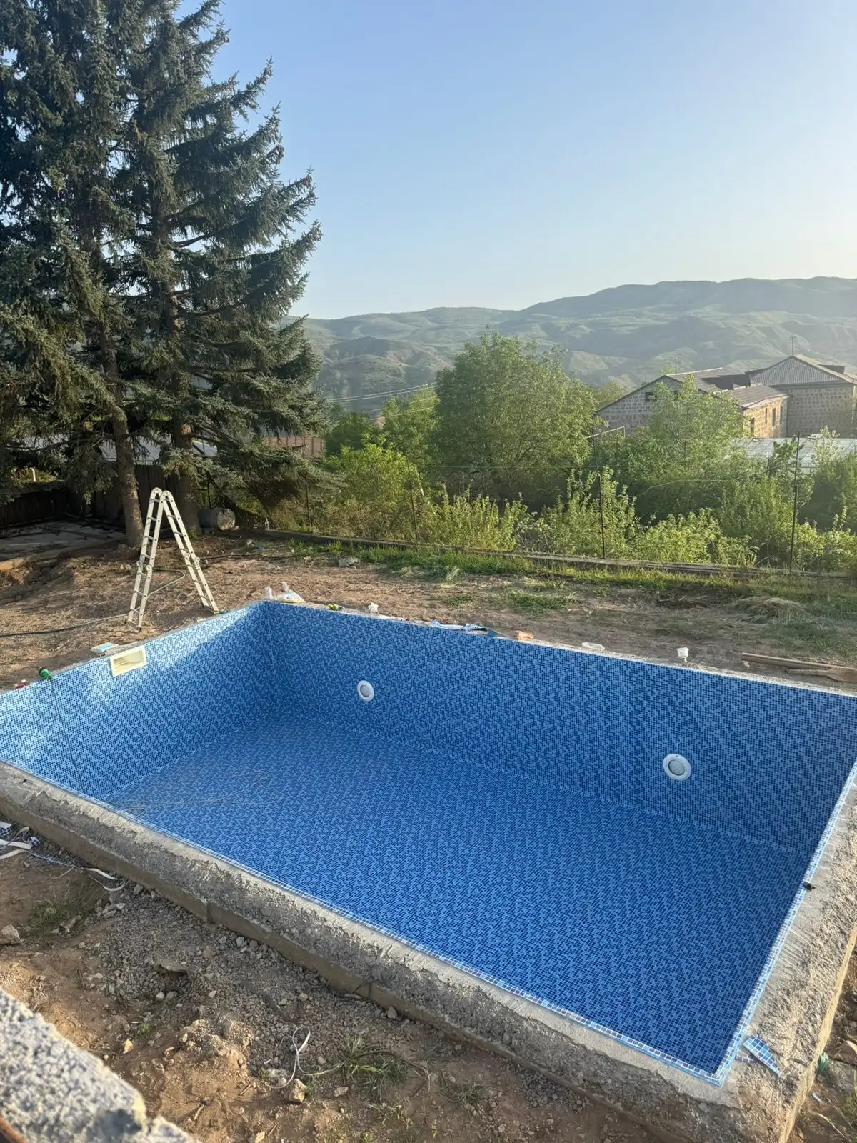 լողավազան-ծառերի-մոտ